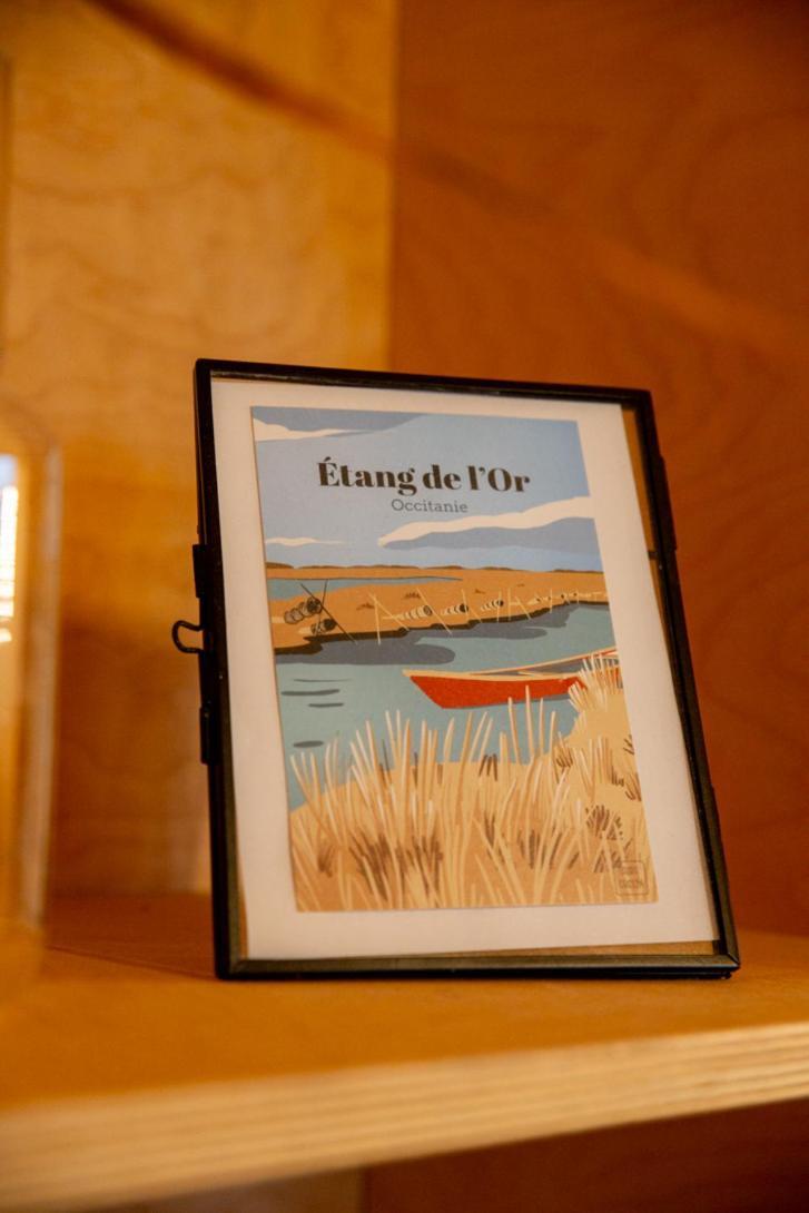 Le Mazet De L'Or - Climatisation Et Vue Sur L'Etang Apartamento Pérols Quarto foto